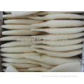 IQF Frozen Todarodes Pacific Squid Tube For Selling